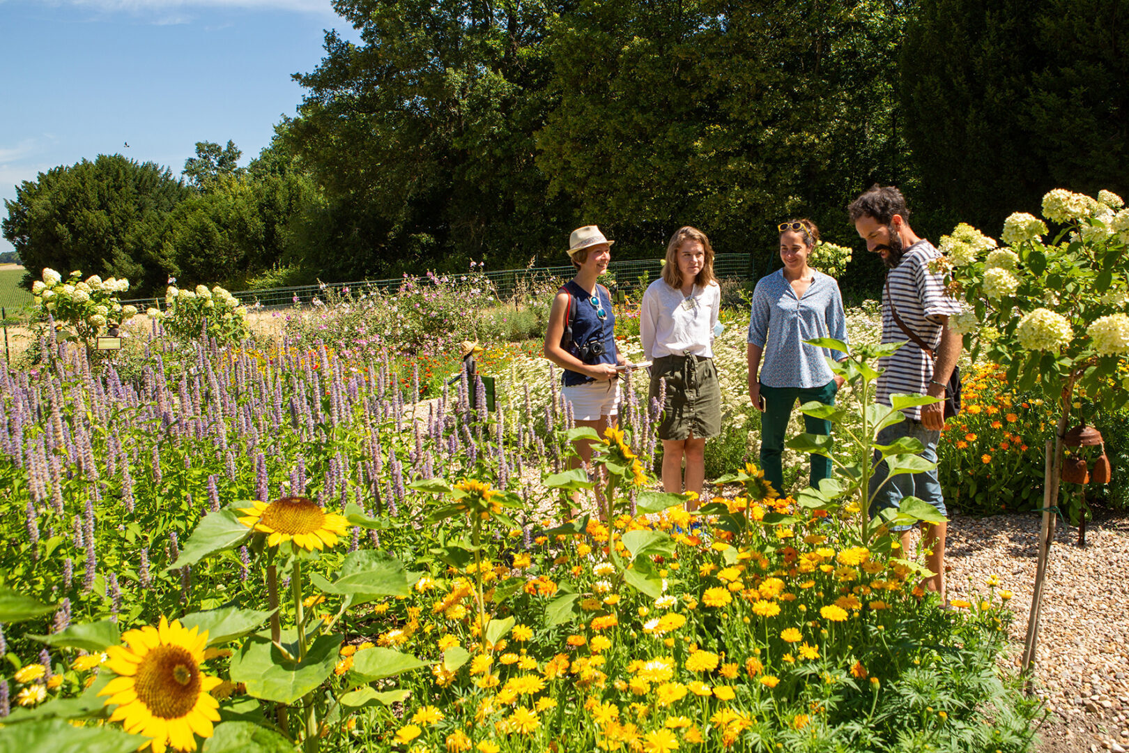 Visite guidée des jardins, un patrimoine environnemental en péril