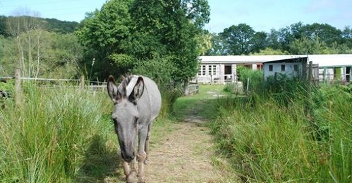 Staj brezhoneg ha natur