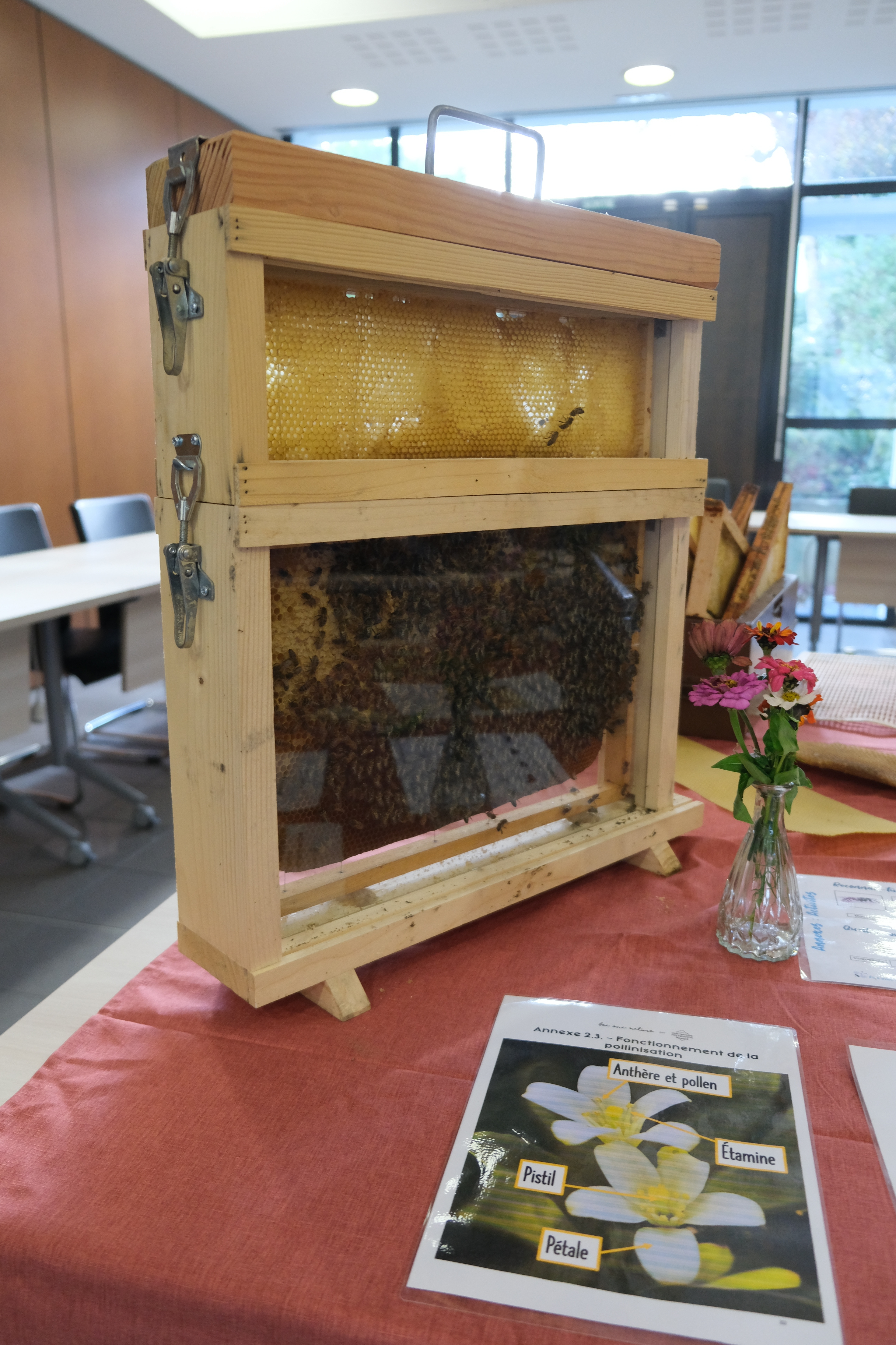 Atelier apiculture - Extraction du miel