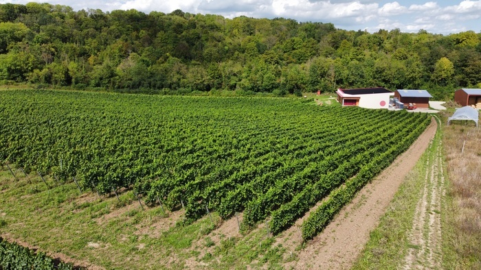 Sortie coorganisée par Île-de-France Nature