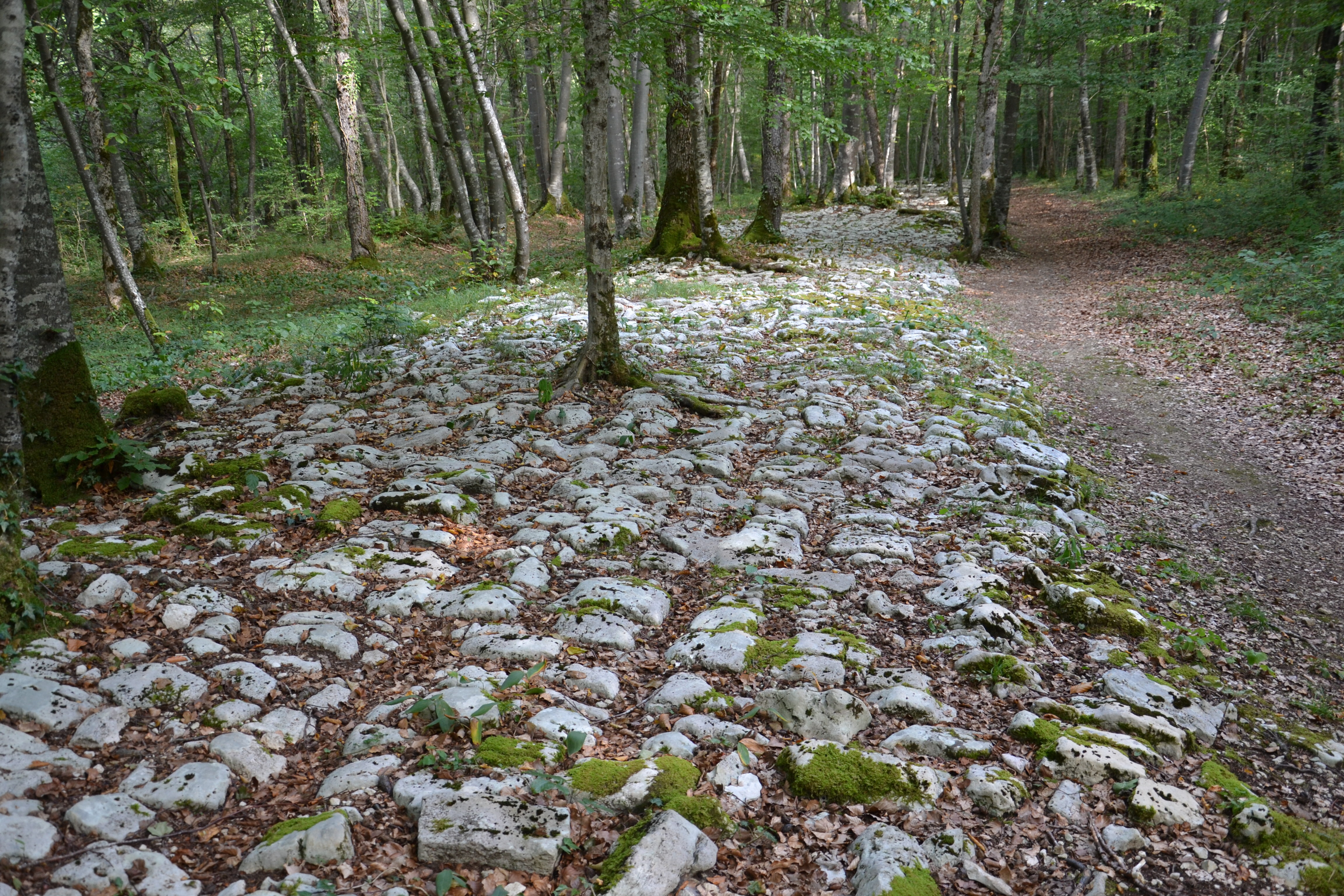 Photos gallo-romaines : pierres et nature