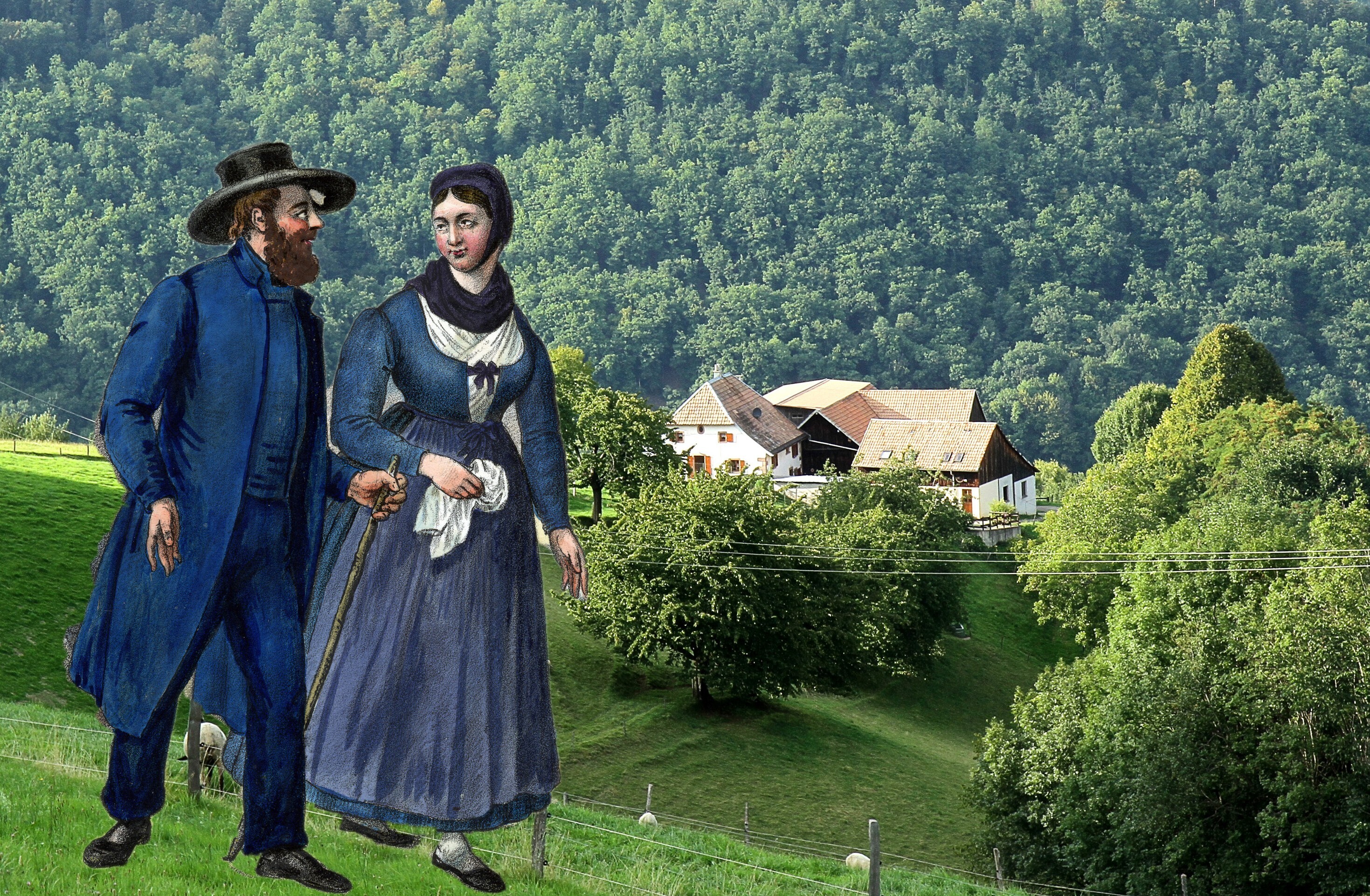 Visite découverte 'Sur les pas des amish'
