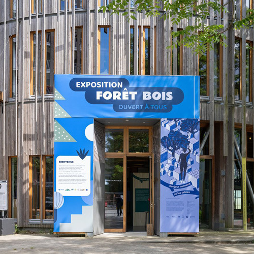 Patrimoine en péril : les atouts de la construction bois pour résister face aux crises contemporaines.