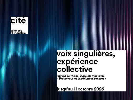 Voix singulières, expérience collective