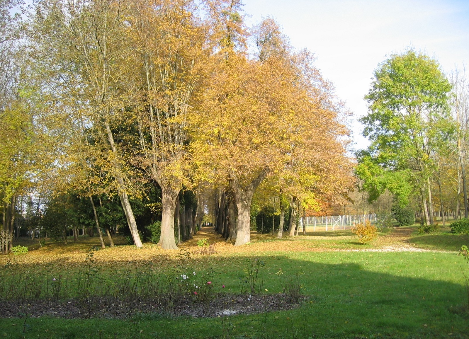 Balade commentée d'un patrimoine naturel tricentenaire