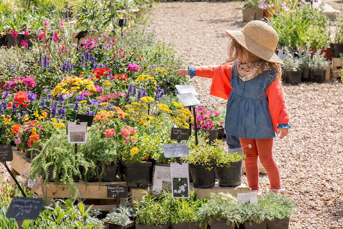 Fête des plantes et du massif de Fontfroide