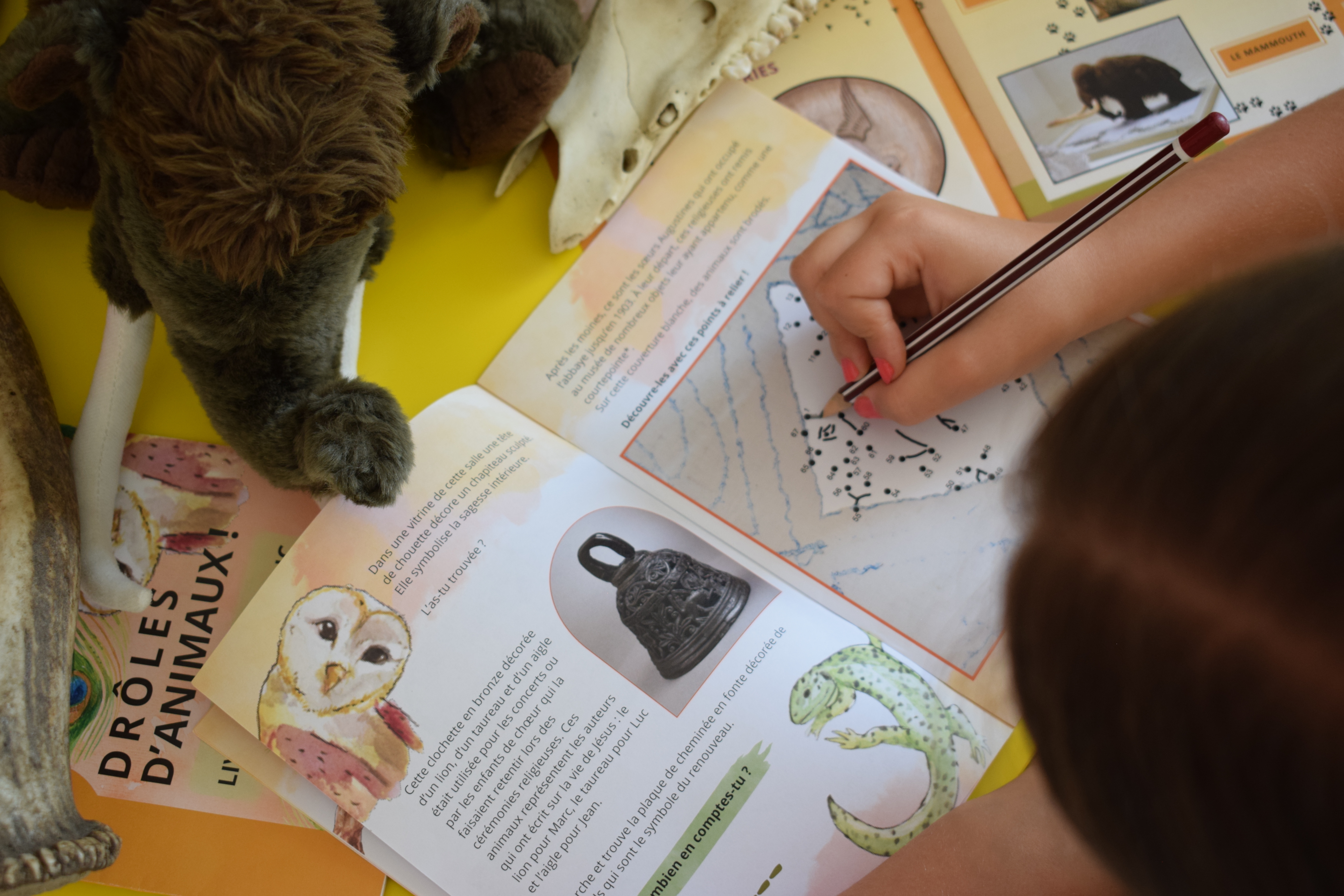 Drôles d'animaux !