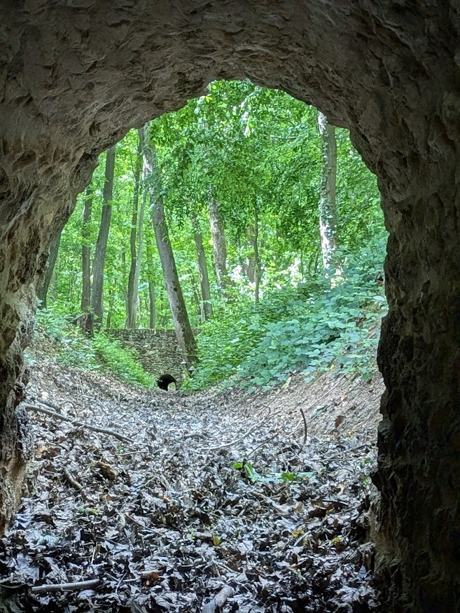 Visite du réseau hydraulique du domaine royal de Meudon en forêt de Meudon