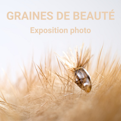 Exposition temporaire "Graines de beauté"