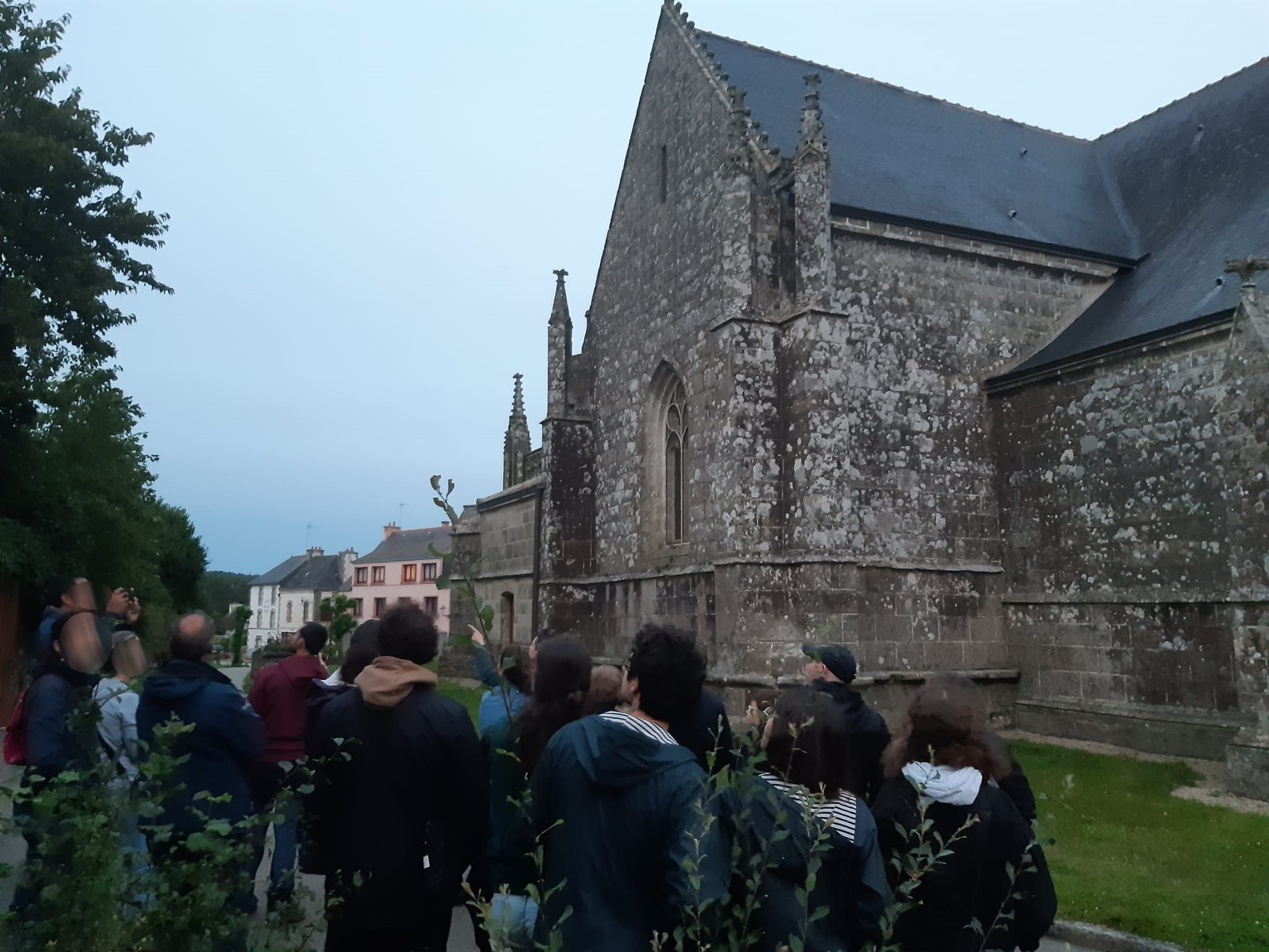 Nuits de la Chauve-souris