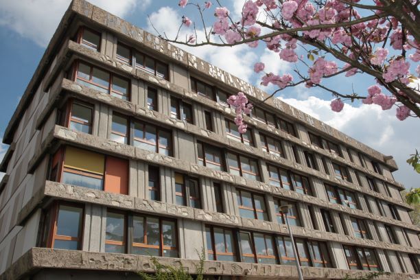 Visite du quartier des Bleuets