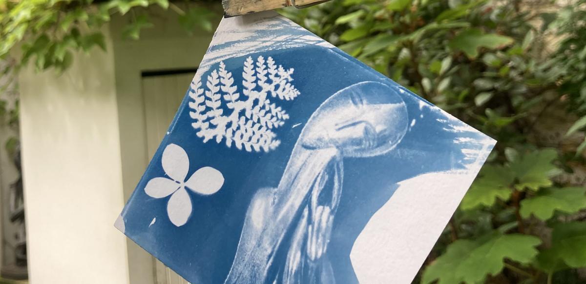 À la découverte du cyanotype