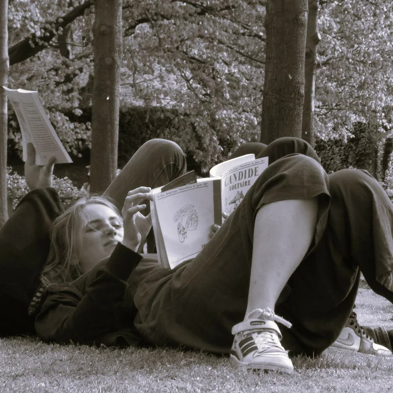 Candide ou l’art de cultiver son jardin !