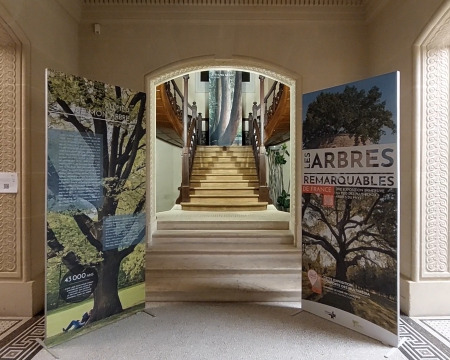 Exposition : A.R.B.R.E.S.