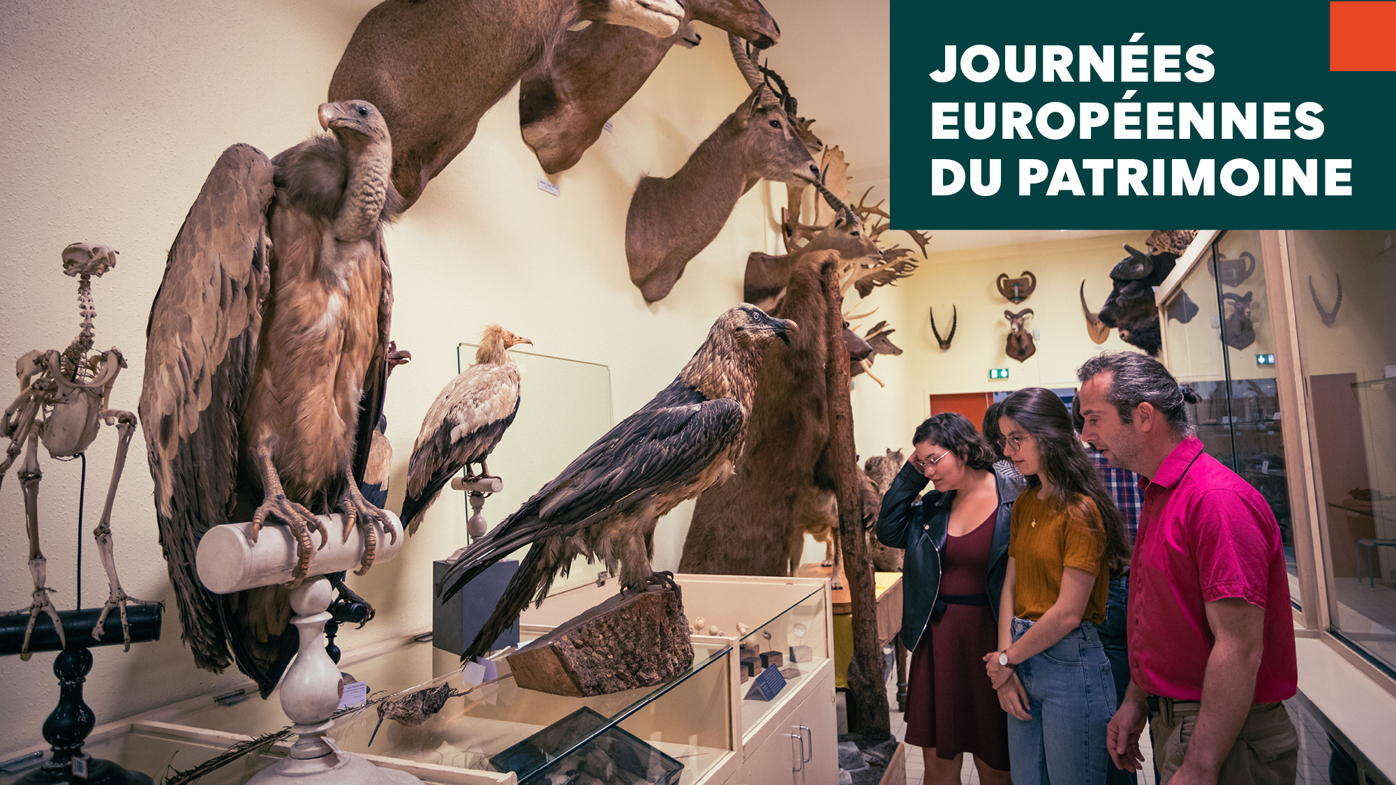 Visitez les collections universitaires !