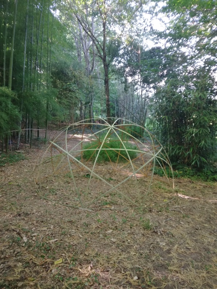 Visite de l'arboretum