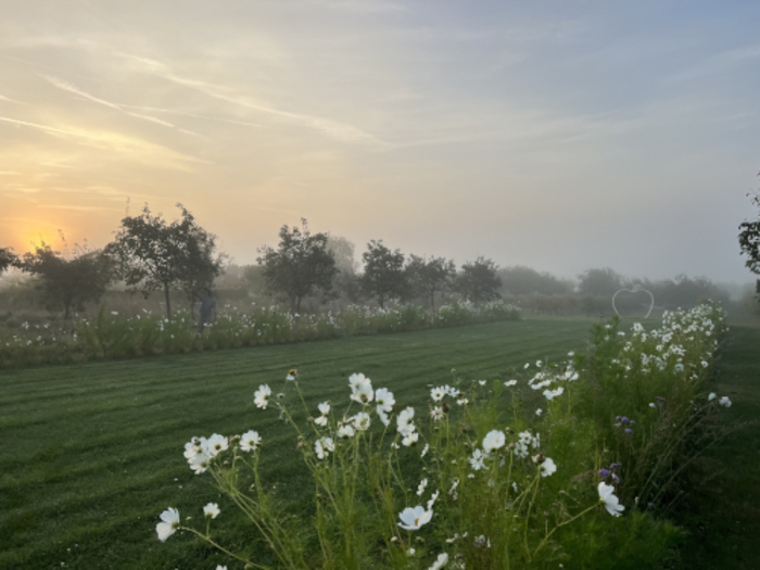 Promenade aux Jardins