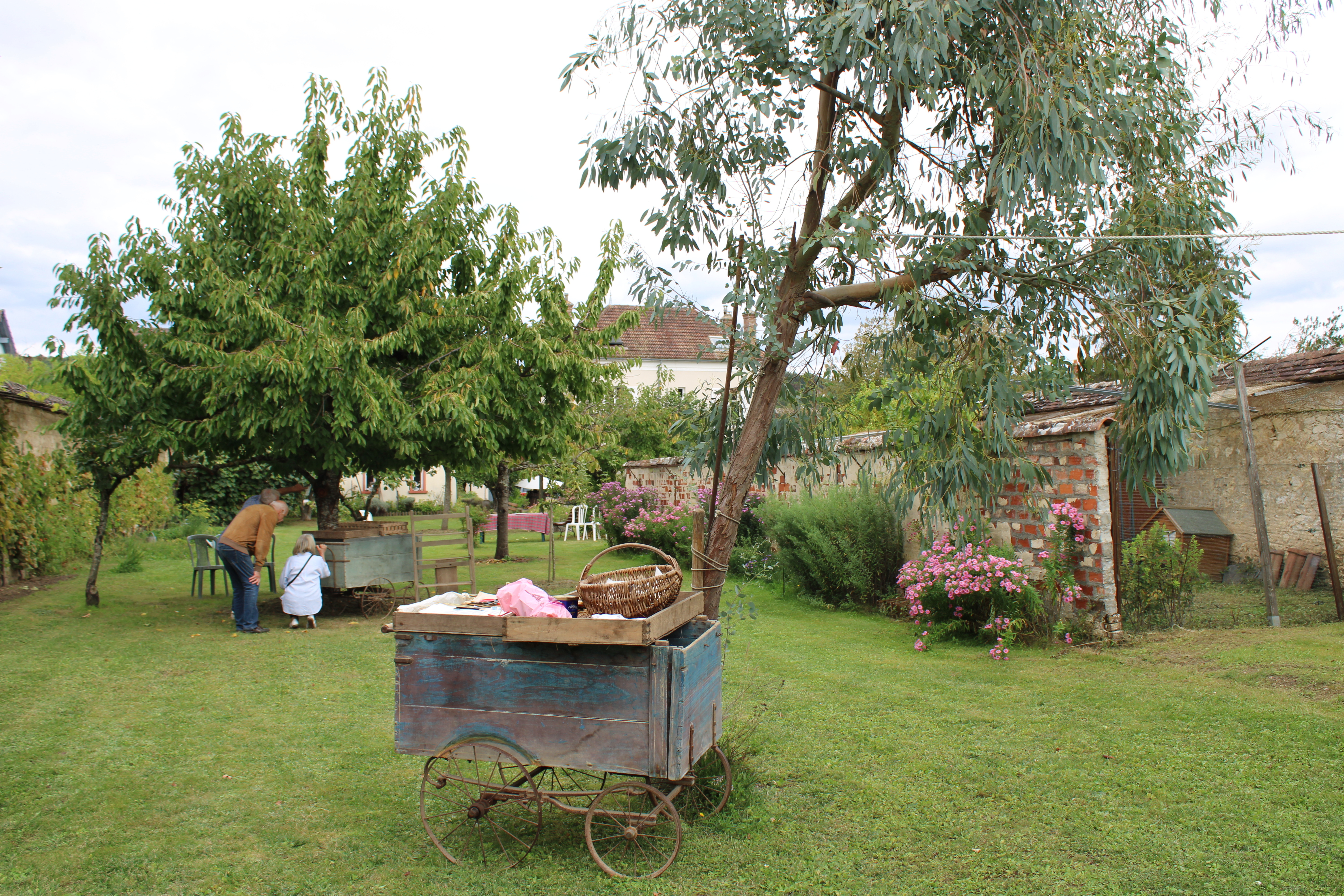 Un jardin thomeryon, entre raisin et fruits