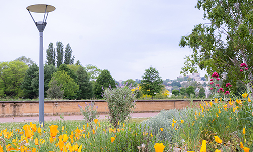 Le parc de Gerland