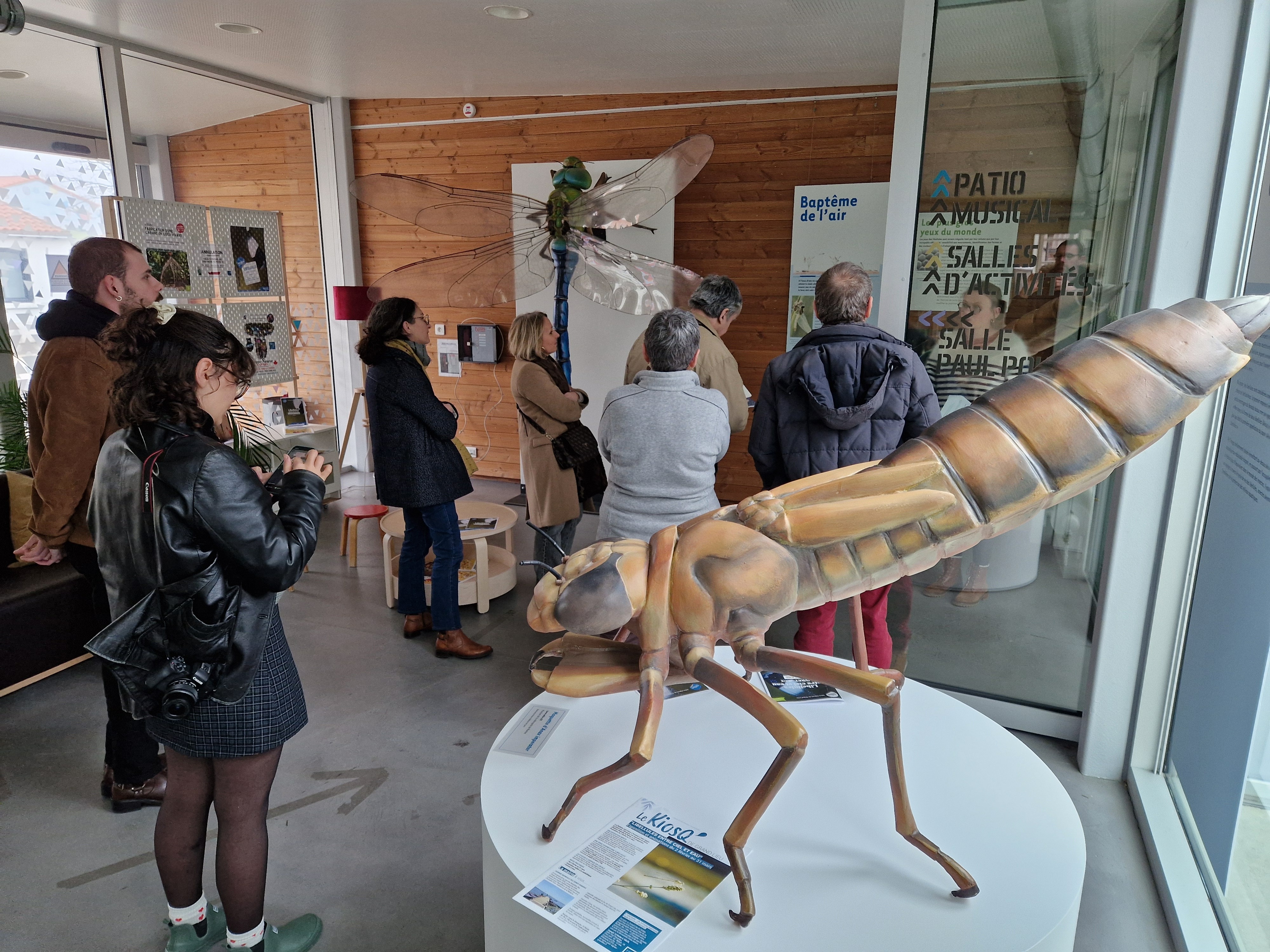 Exposition Libellules