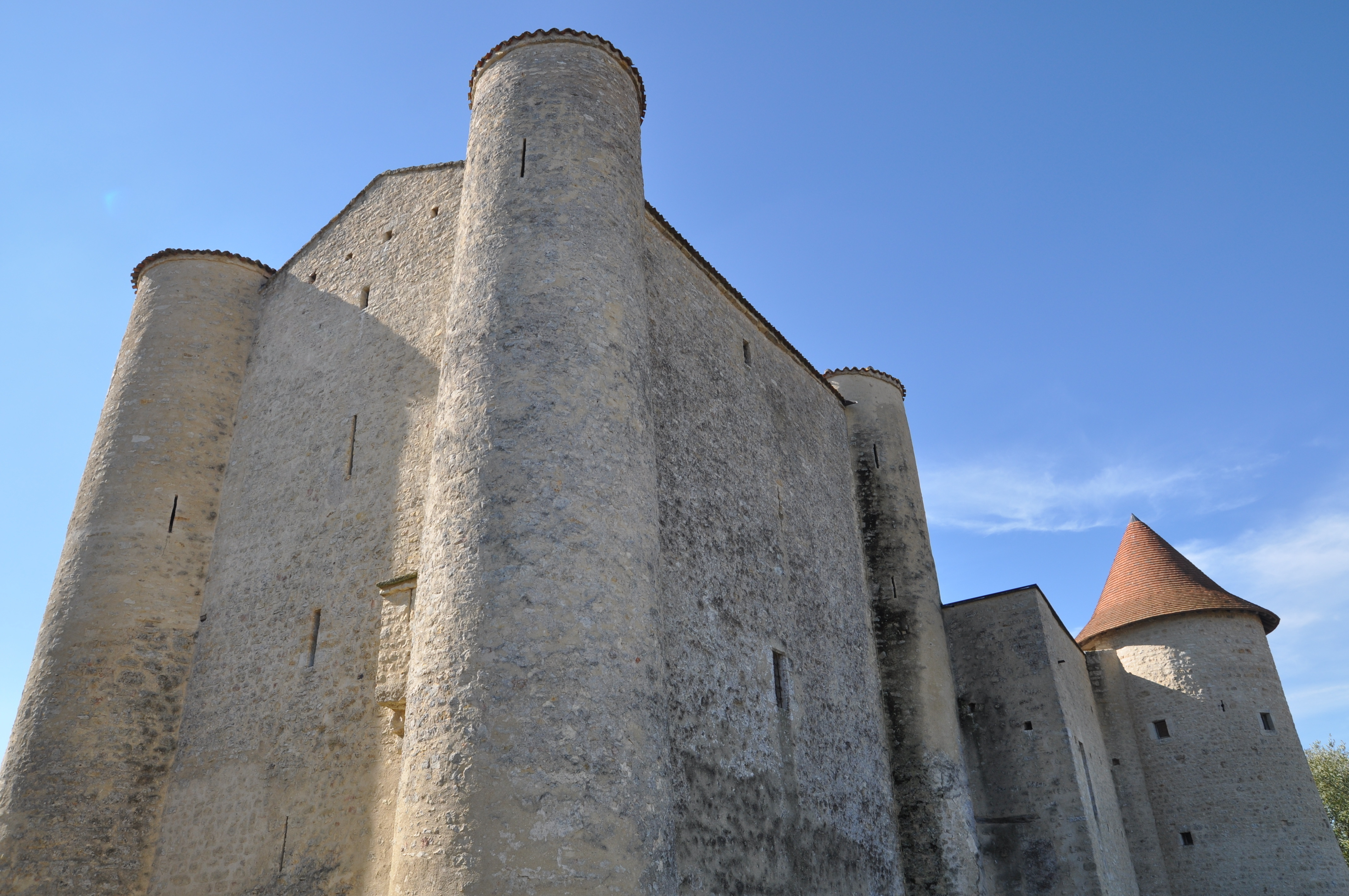 Visite guidée du château de Cherves