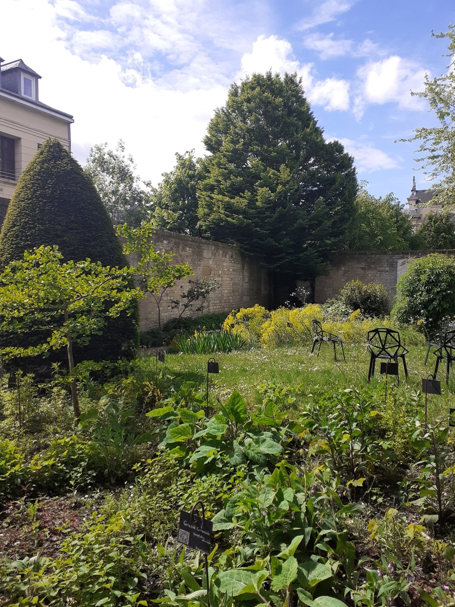 Atelier herboristerie pratique