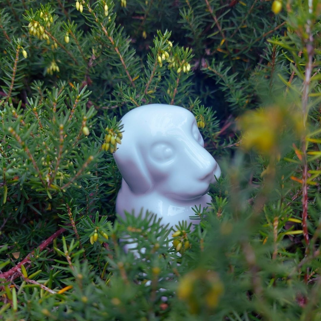 Mes premiers pas au musée - Mon merveilleux jardin de porcelaine