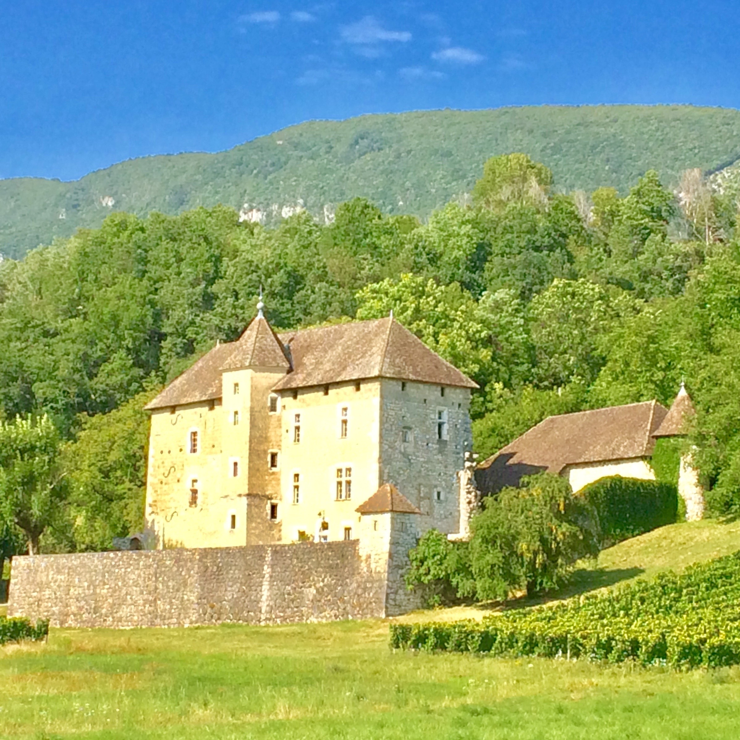 Château de Mécoras XII XIV XVI siècle