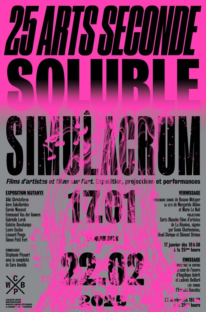 Exposition 25 Arts Seconde : Soluble & Simulacrum Du 17 janv au 22 fév 2025