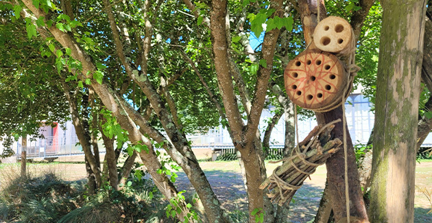 Atelier "un hôtel pour les insectes" 3-6 ans