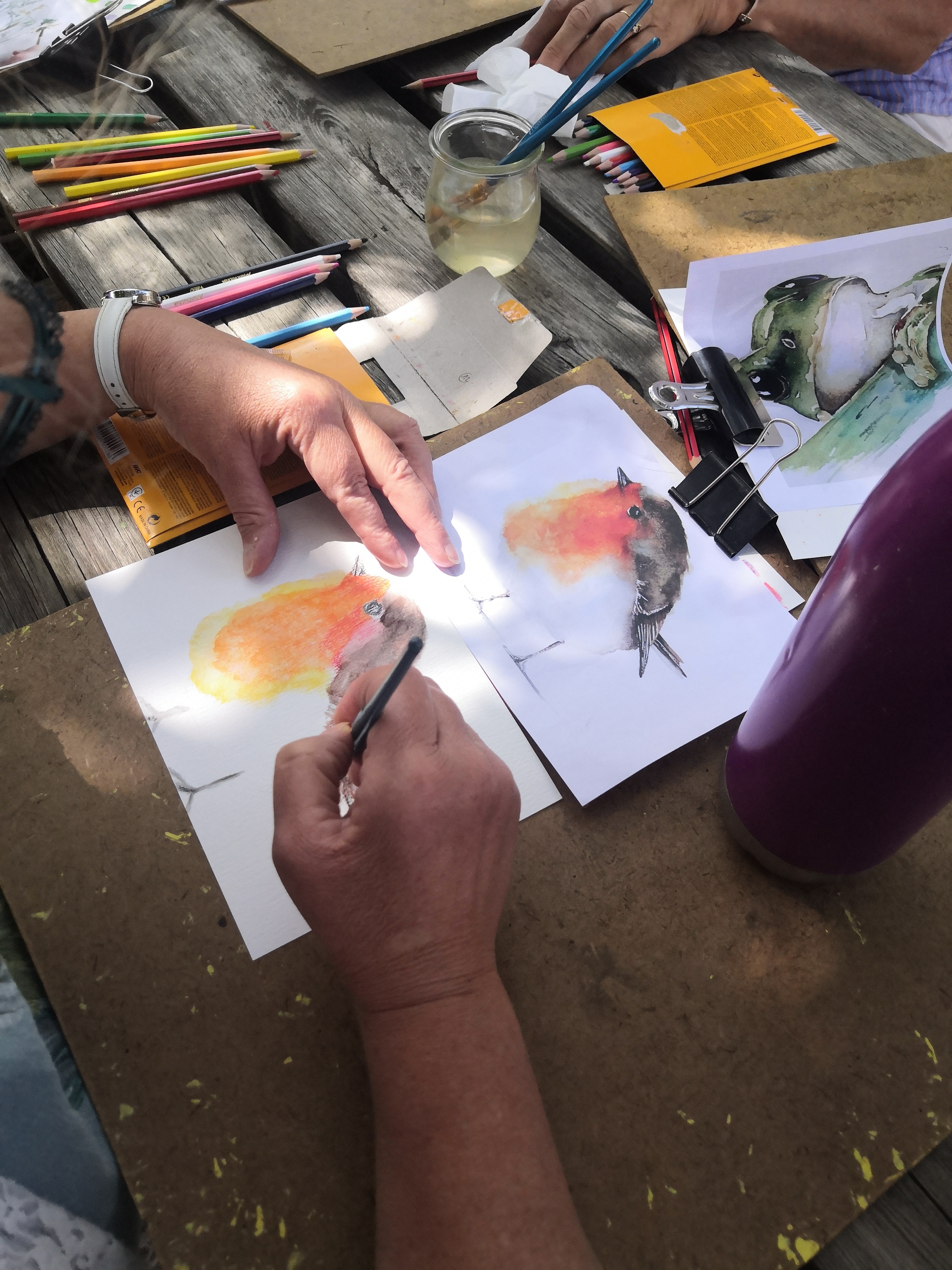 Atelier initiation Aquarelle spécial jardin- Musée de Cerdagne