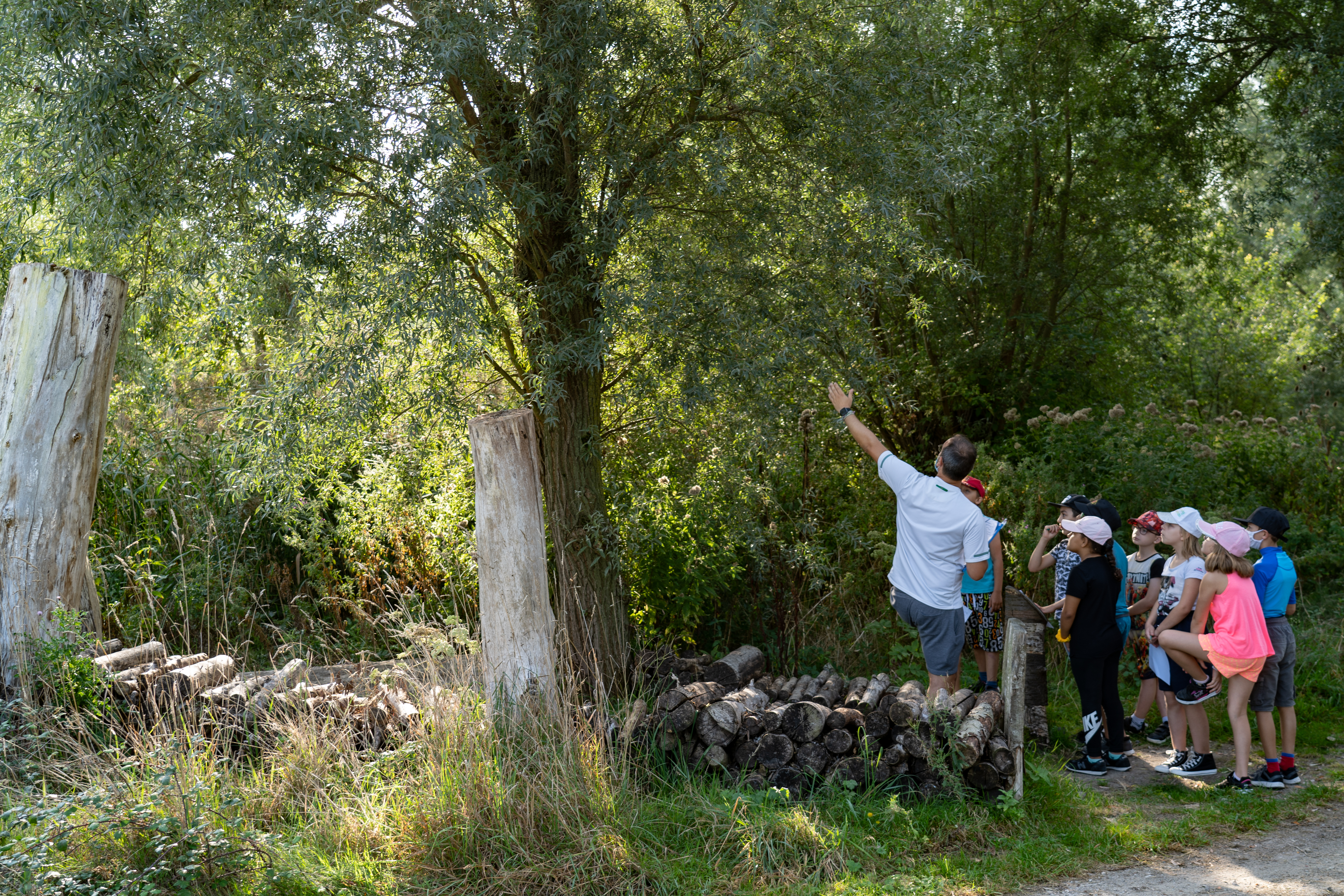 Balade naturaliste : une nature à (dé)peindre
