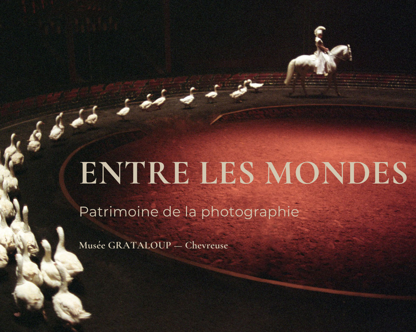 Entre les Mondes – Patrimoine de la photographie et immersion artistique