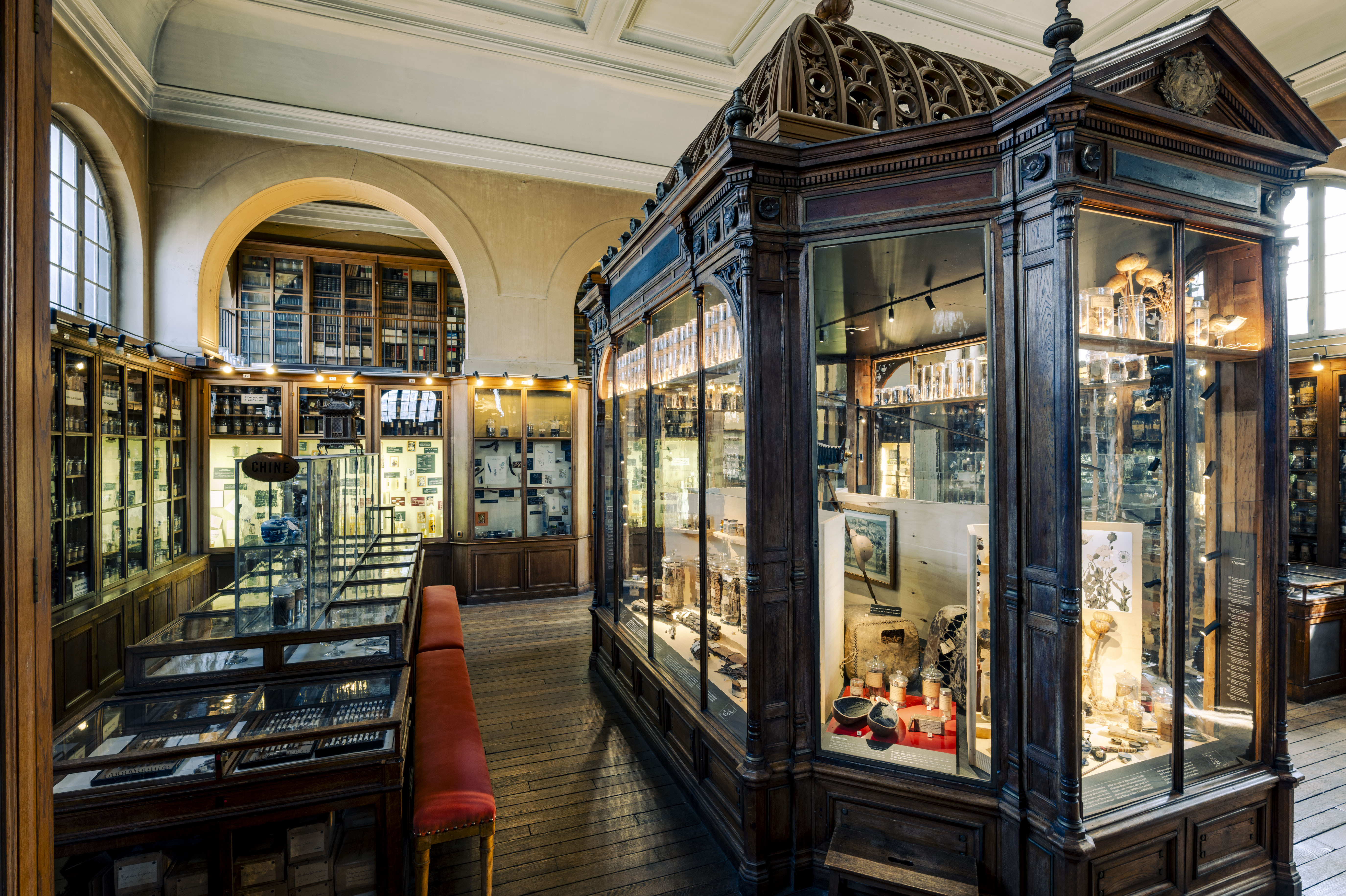 Visite guidée du Musée François Tillequin – collections de Matière médicale