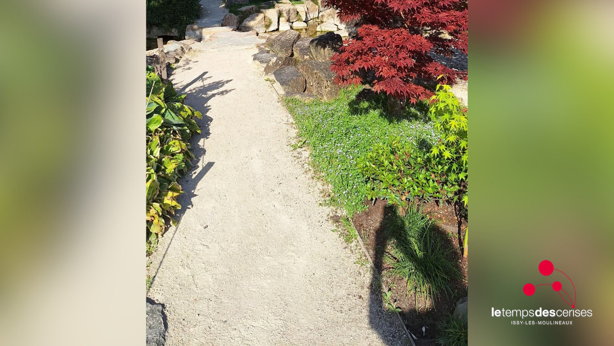 Atelier Photogaphier le jardin japonais d'Ichikawa