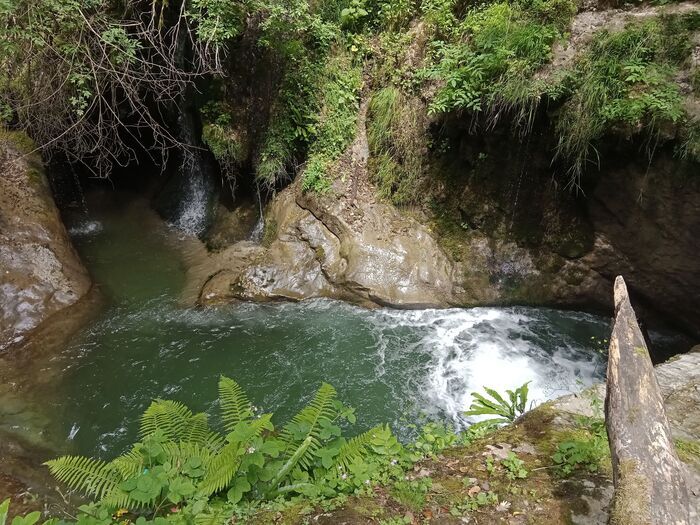 Sortie découverte de la biodiversité des canyons aux Ecouges
