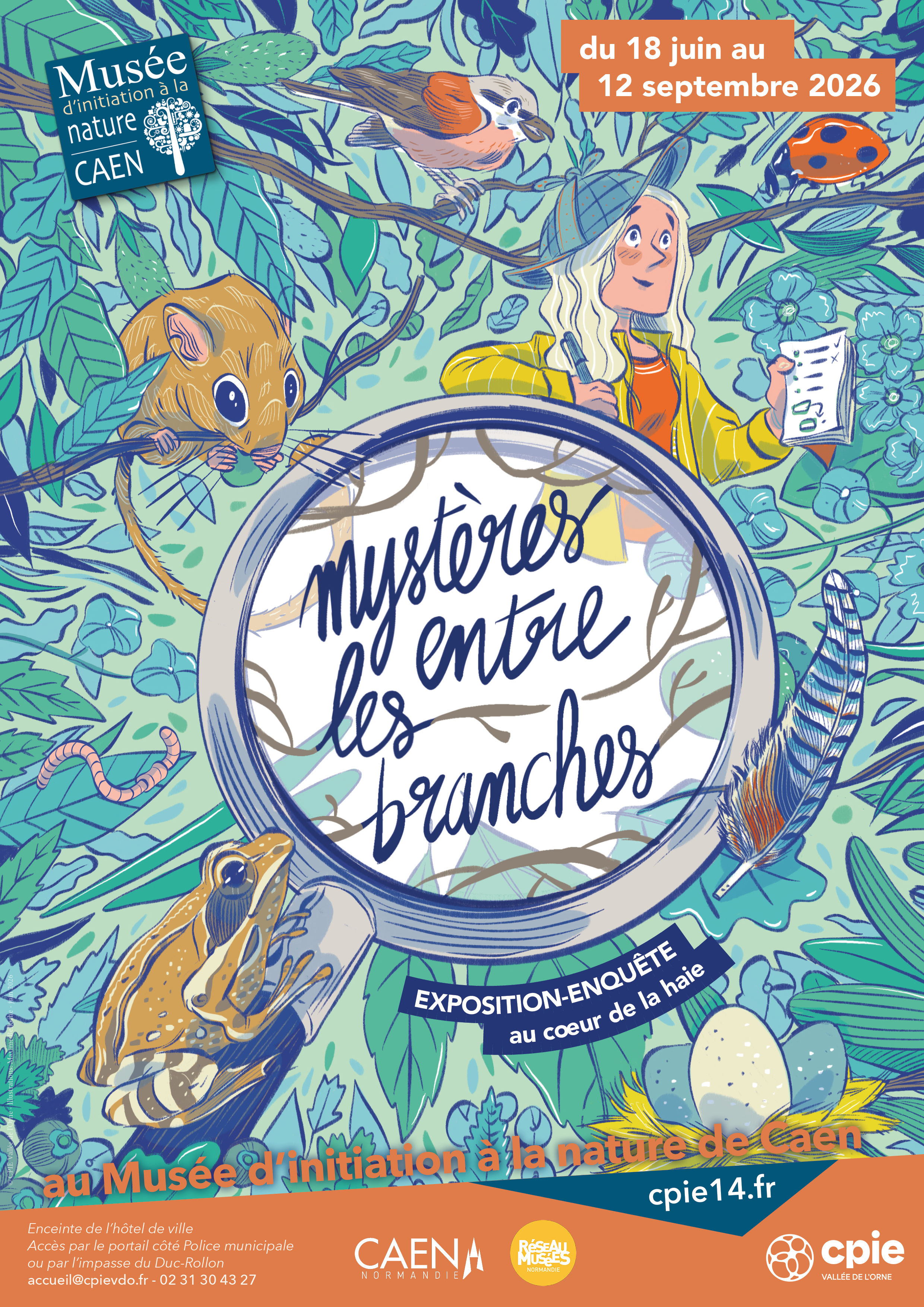 Mystères entre les branches
