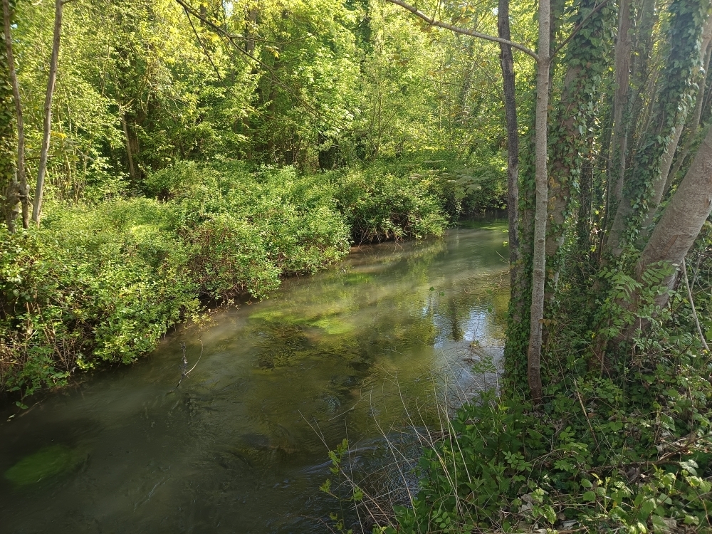 Découvrez le parc de la Rochefoucauld, Espace Naturel Sensible