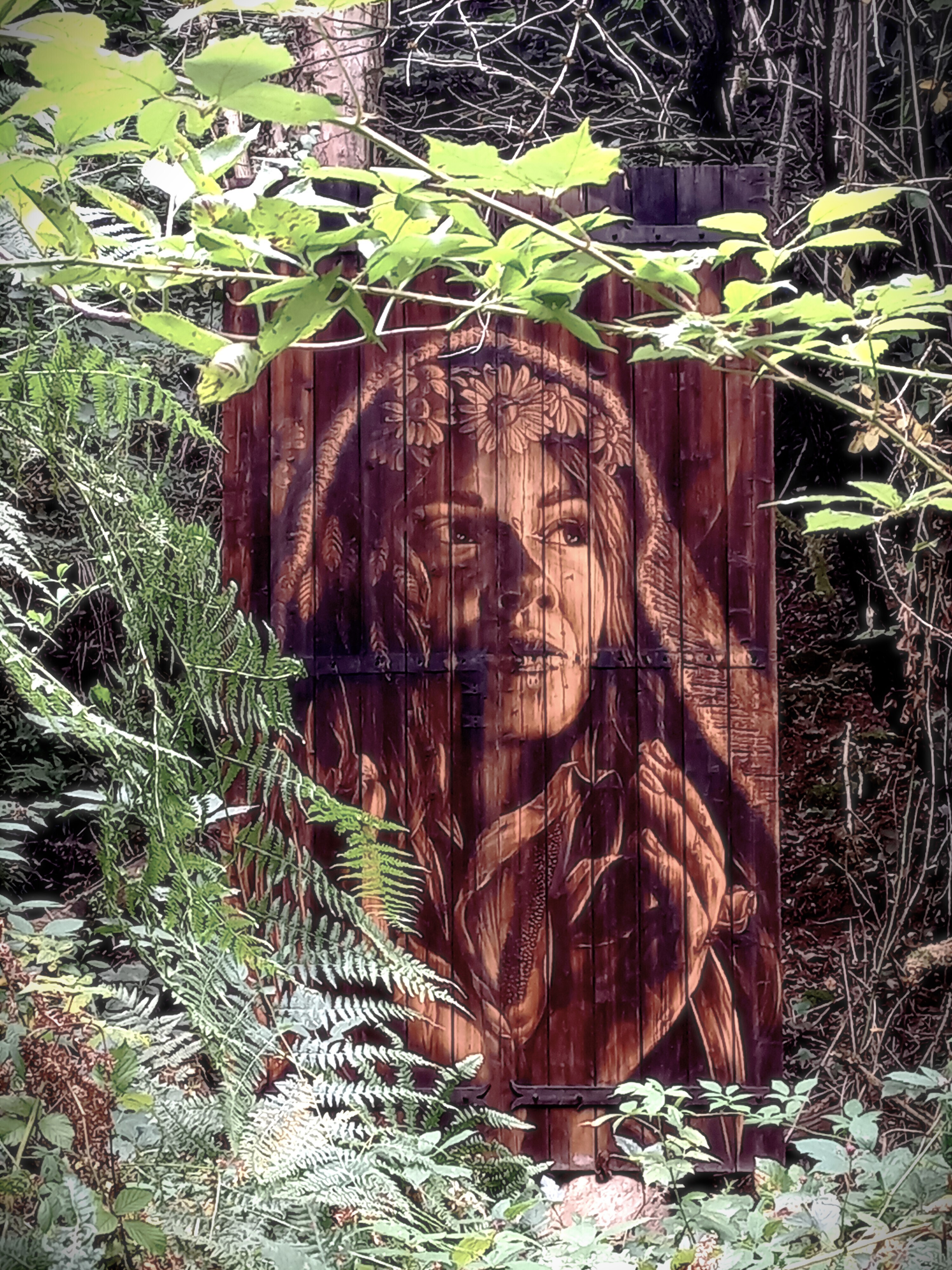 Randonnée guidée Land'Art dans la Forêt de la Vaysse