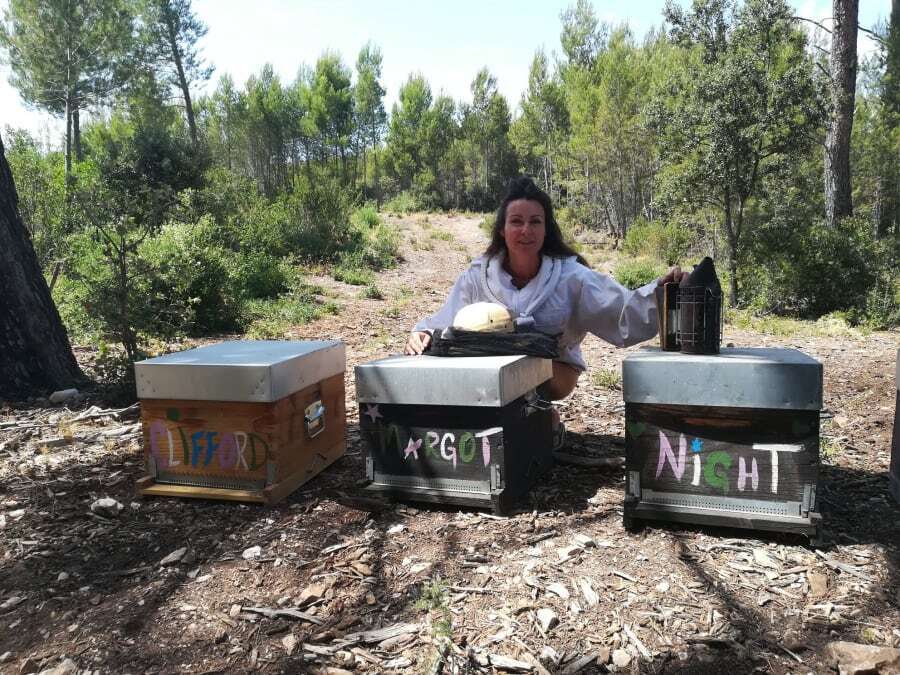Découverte de l'apiculture autour de Marseille