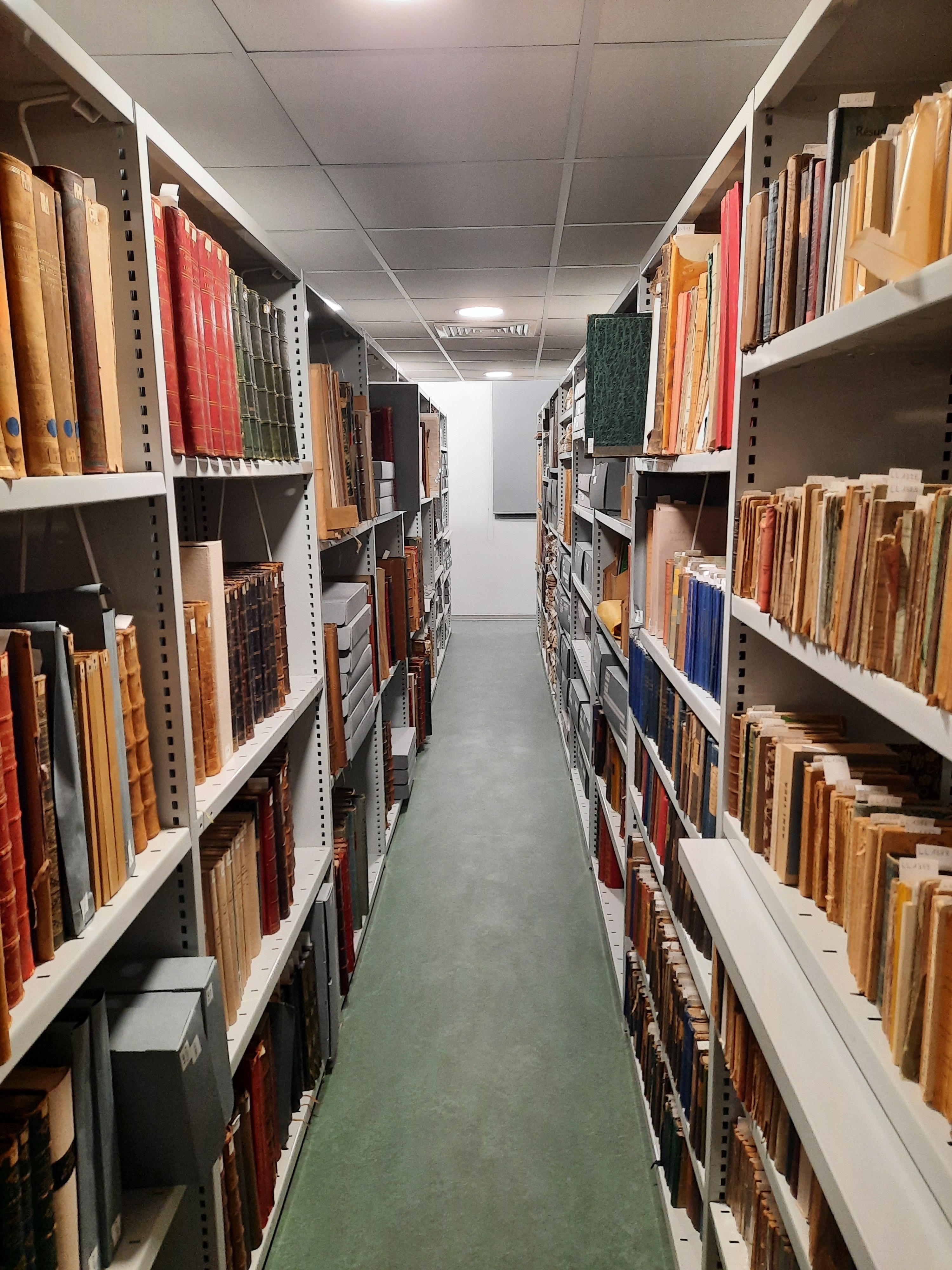 Visites guidées des réserves