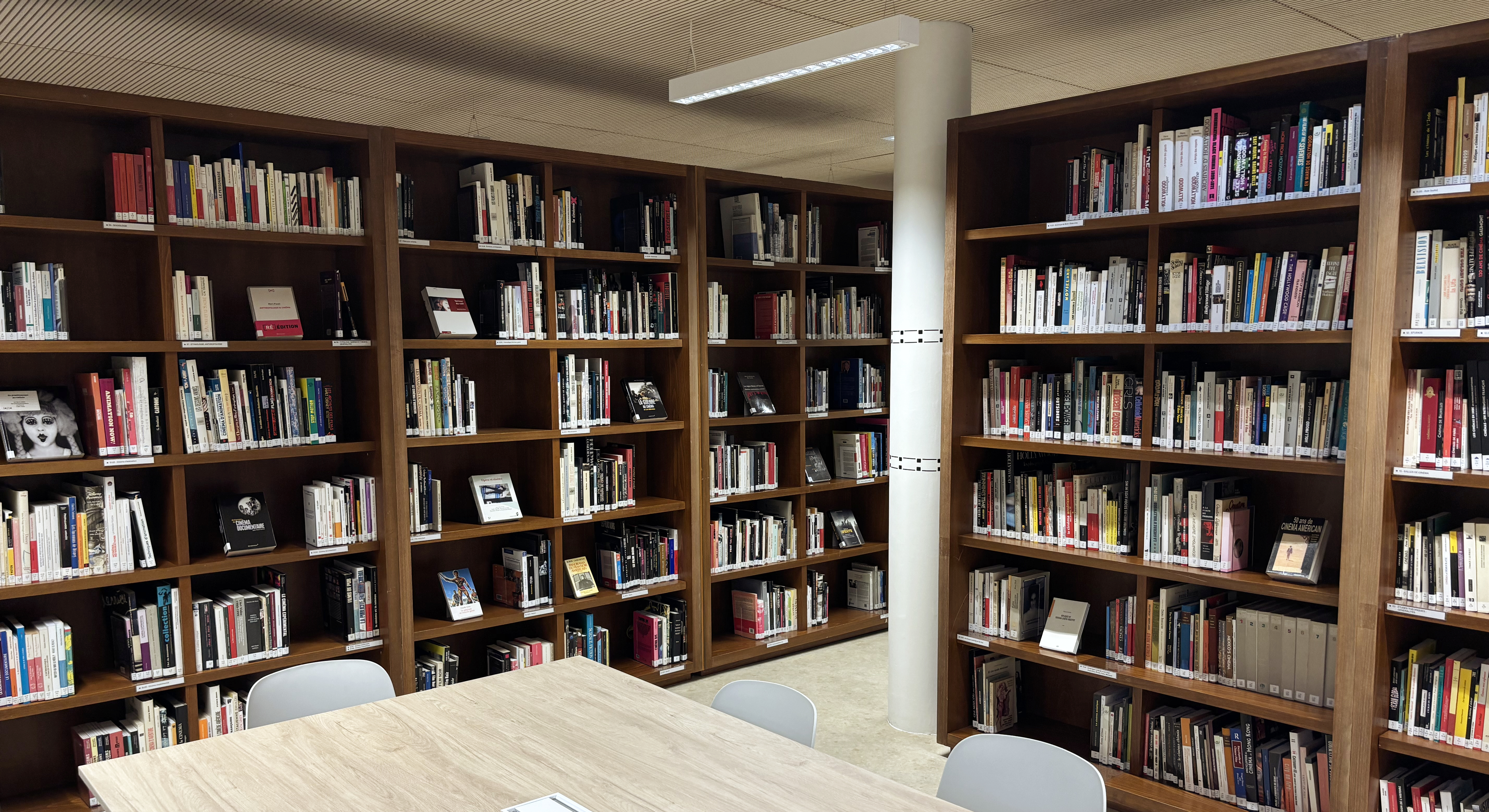 Visite guidée de la bibliothèque de la Cinémathèque de Toulouse