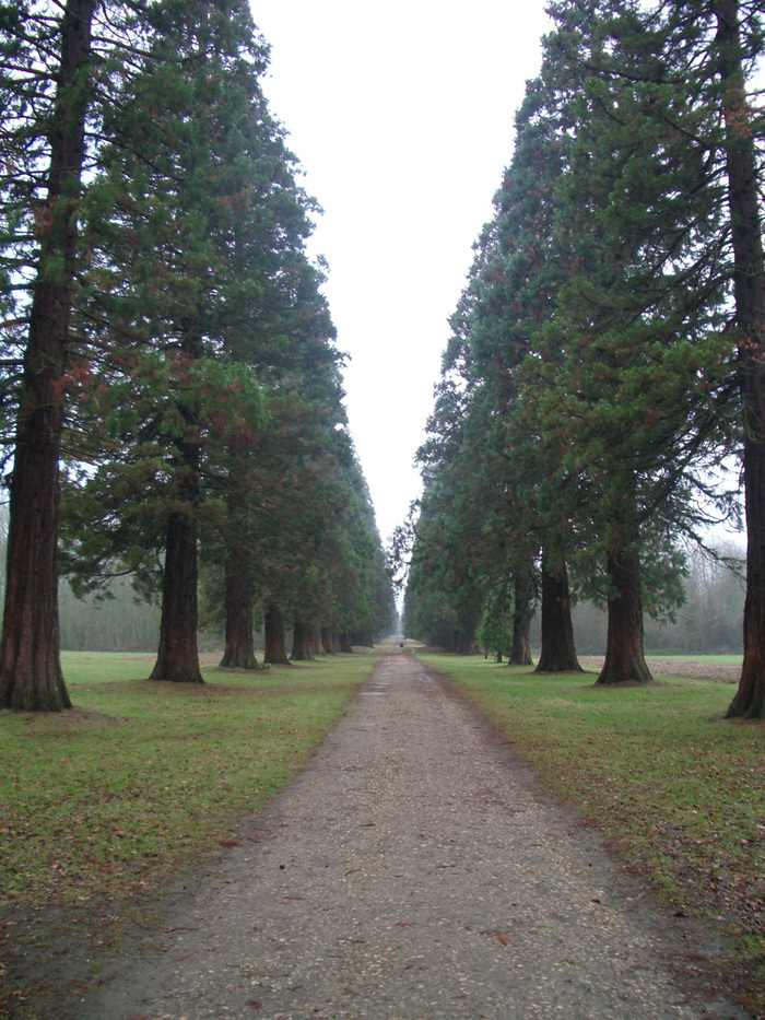 Sortie nature coorganisée par Île-de-France Nature et l'association Pérambulations qui retrace l'évolution des usages et du périmètre de ce territoire