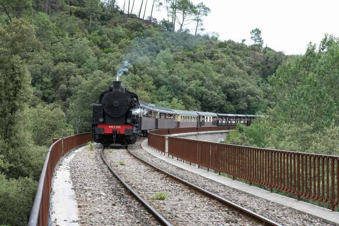 Escape game “Le secret du Cévennes Express”.