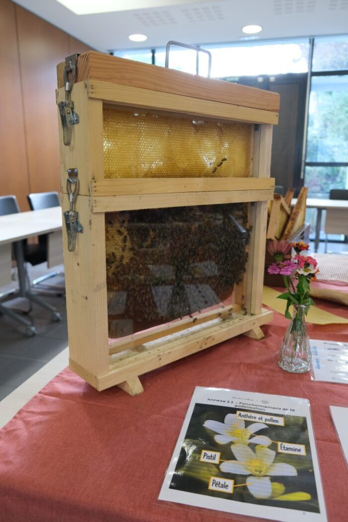Atelier apiculture - Extraction du miel