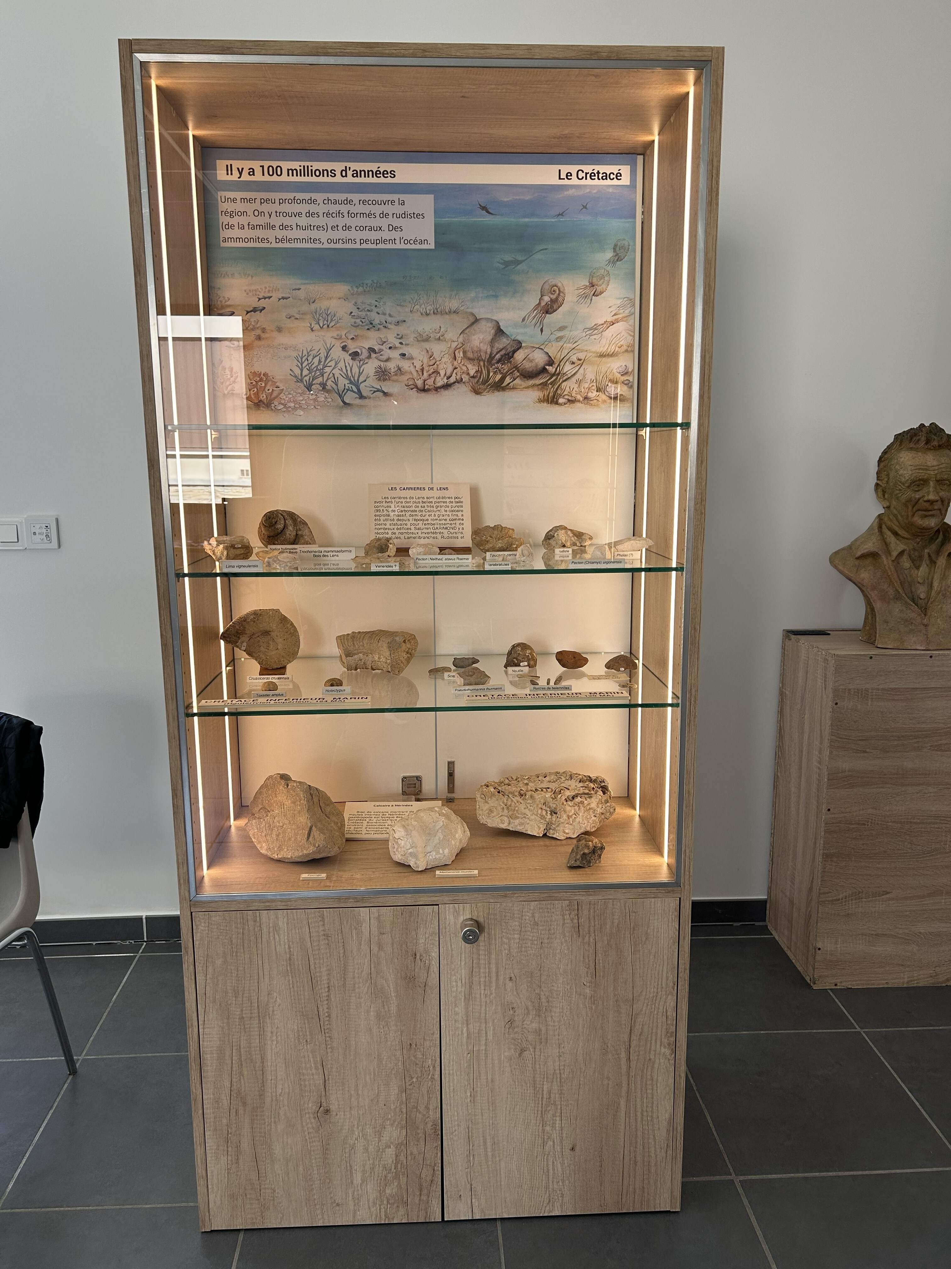 Visite des collections Saturnin Garimond